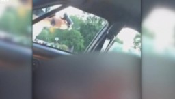 Видеотрансляция убийства: афроамериканца полицейские застрелили "в прямом эфире"