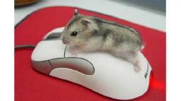 День рождения компьютерной мыши