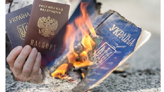​Упрощение получения гражданства России - формальность на бумаге или реальная помощь?