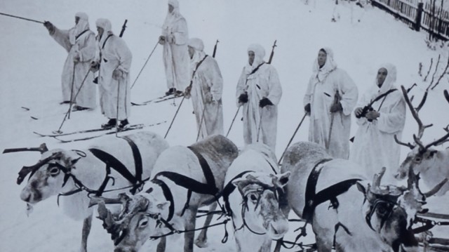 Оленно-лыжные батальоны