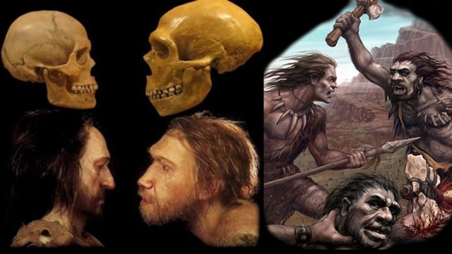 Война людей и неандертальцев
